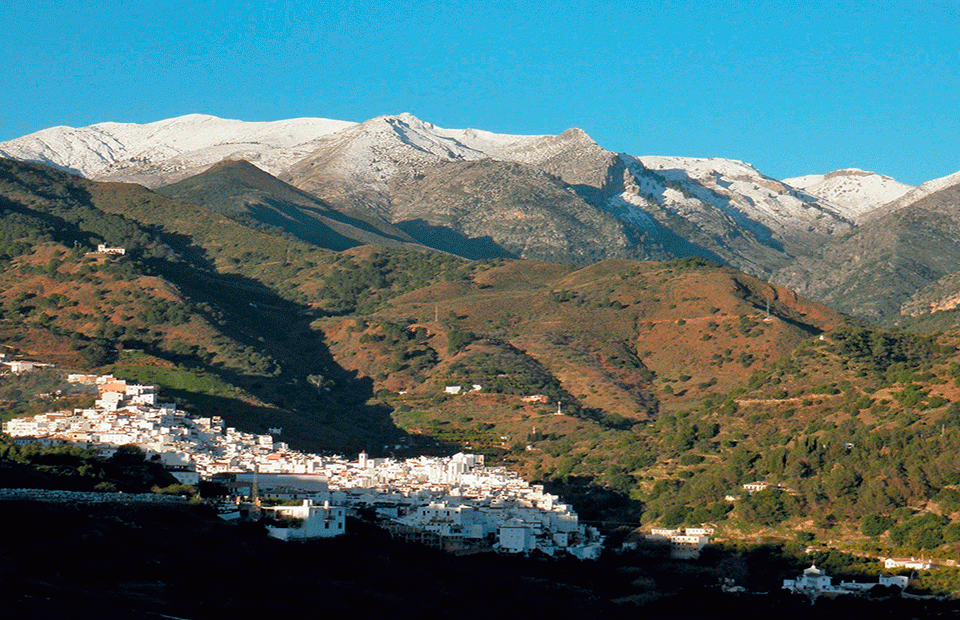 Parque Natural Sierra de las Nieves