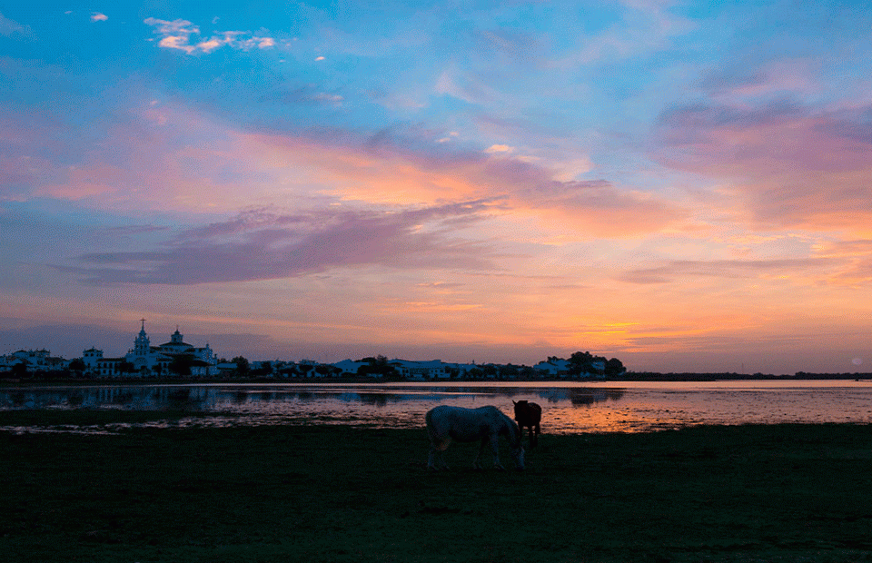 Paisaje doñana