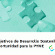 Guía ODS para PYME