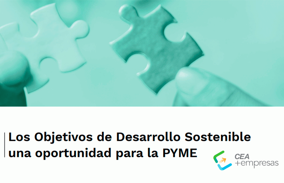 Guía ODS para PYME