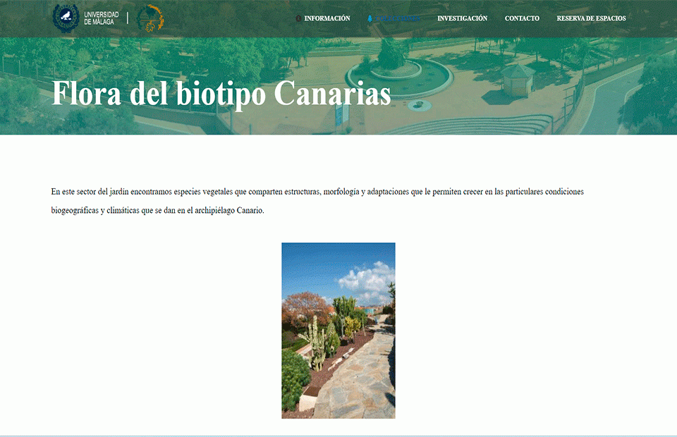 Base de datos especies