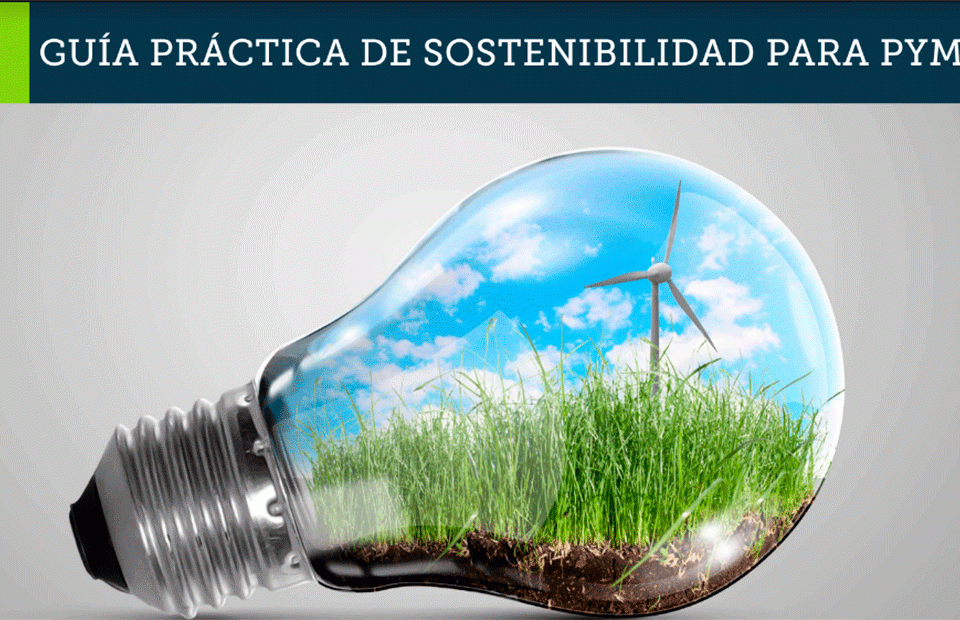 Guía práctica de sostenibilidad para pymes