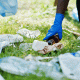 Educación Ambiental reciclaje